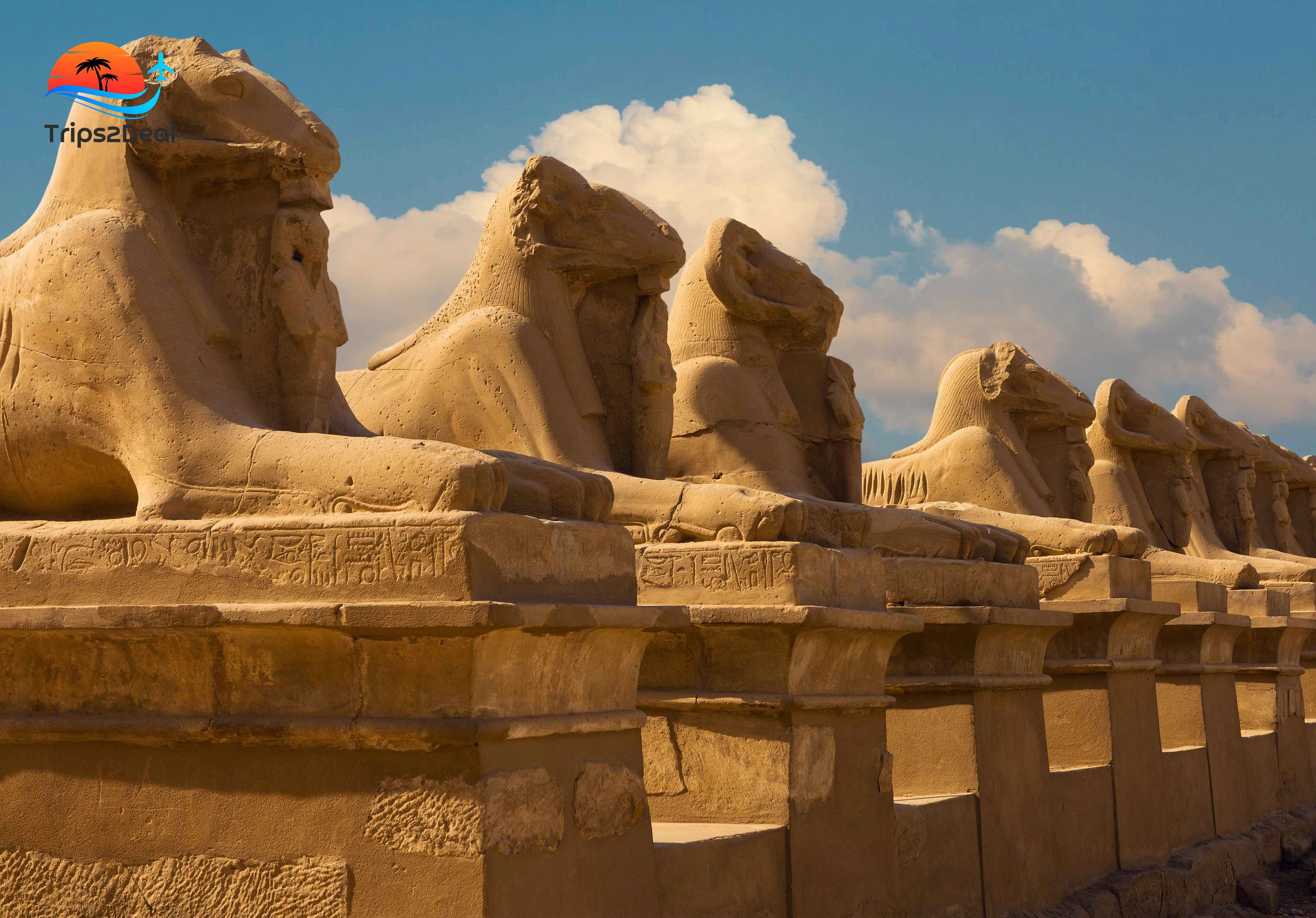 7 day tour to Cairo, Luxor, and Hurghada holiday