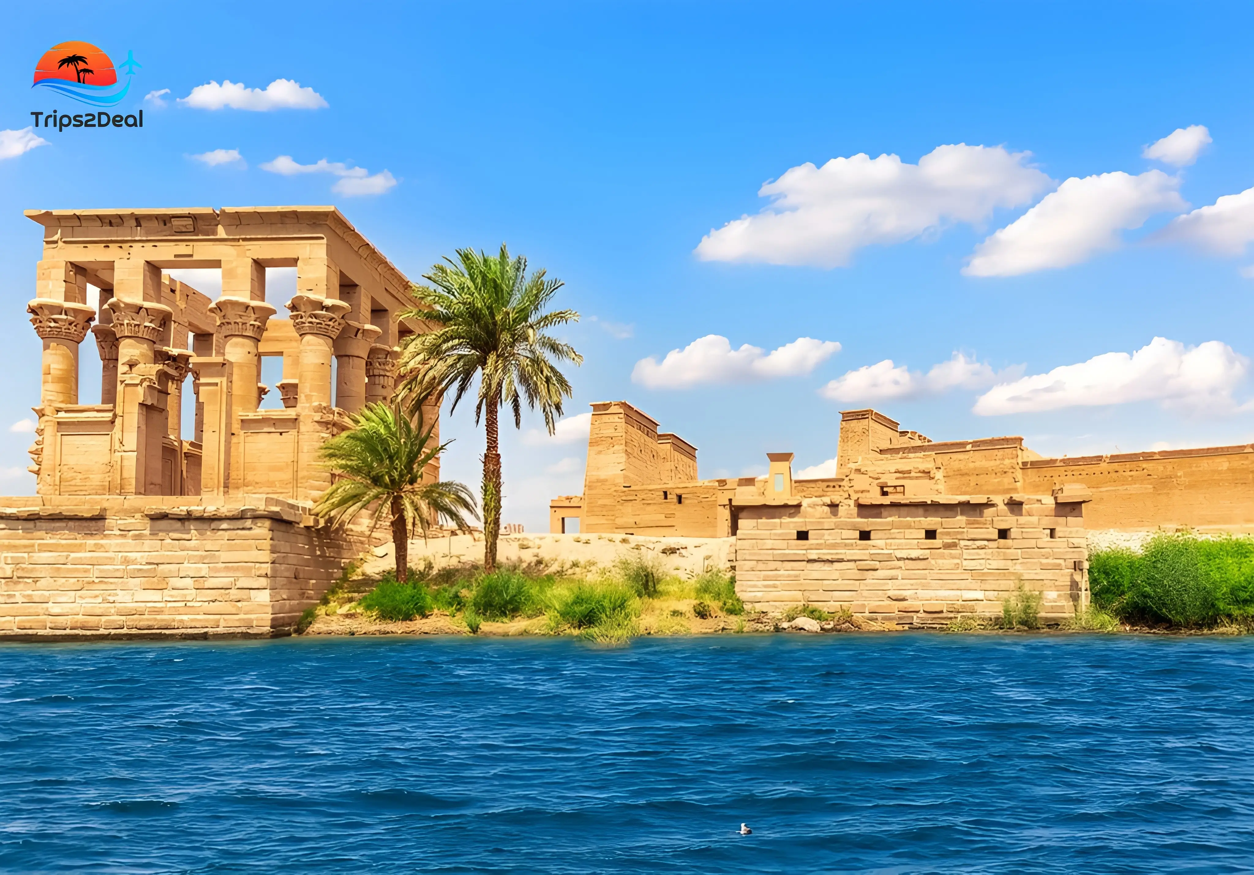 Day tour from Luxor to Aswan