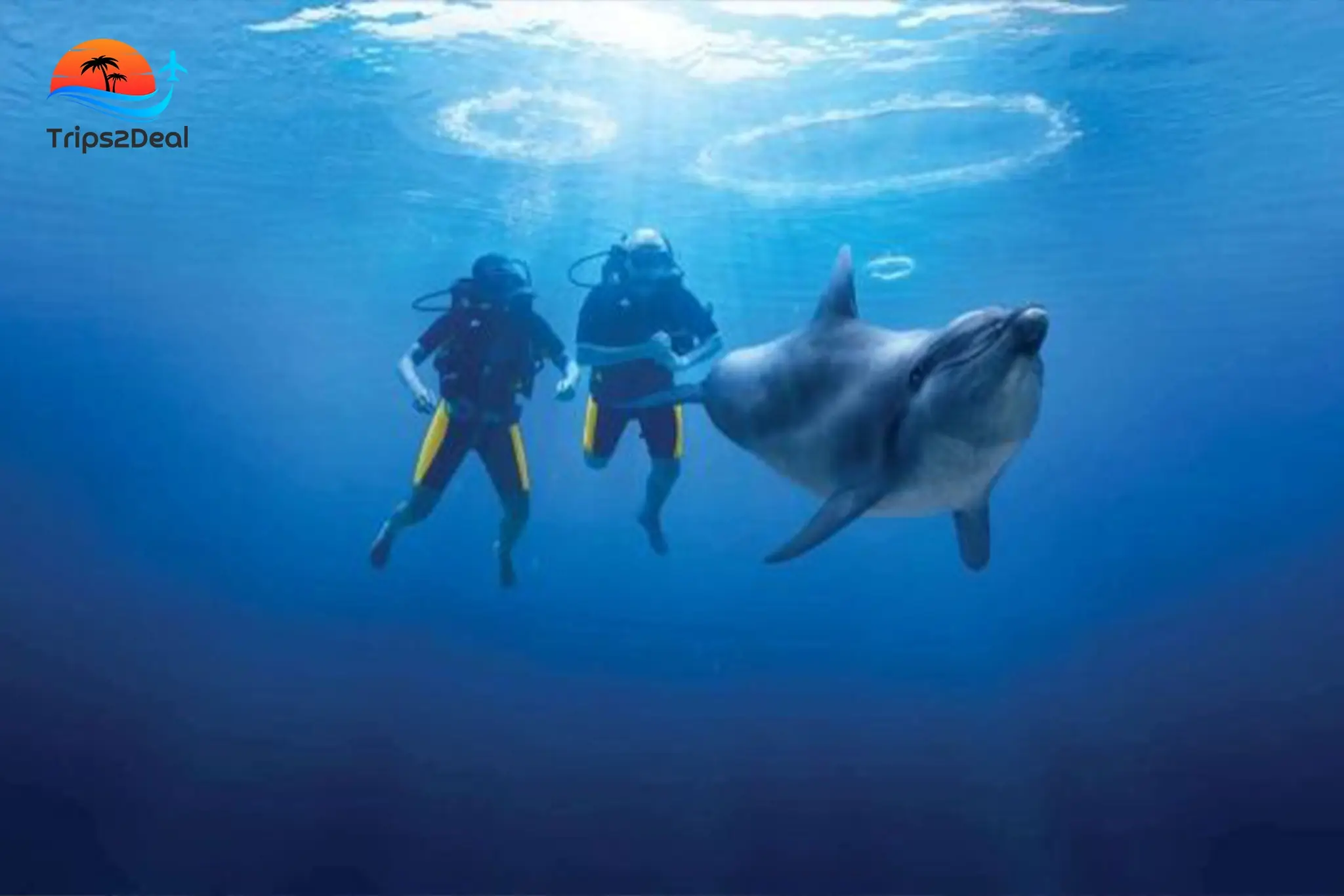 Hurghada: Delfinbeobachtungstour mit Schnorcheln und Mittagessen