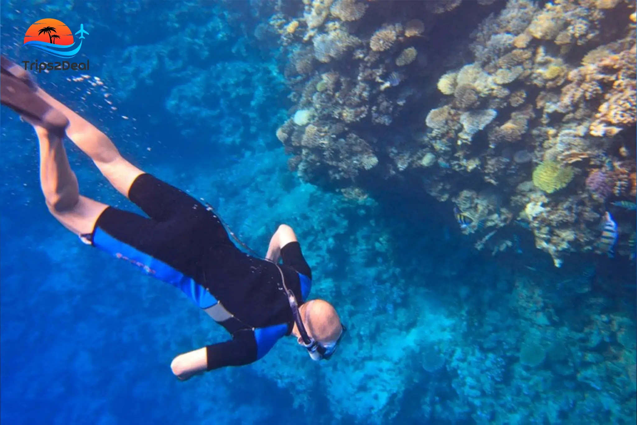 Découvrez la plongée sous-marine à partir du port de Safaga