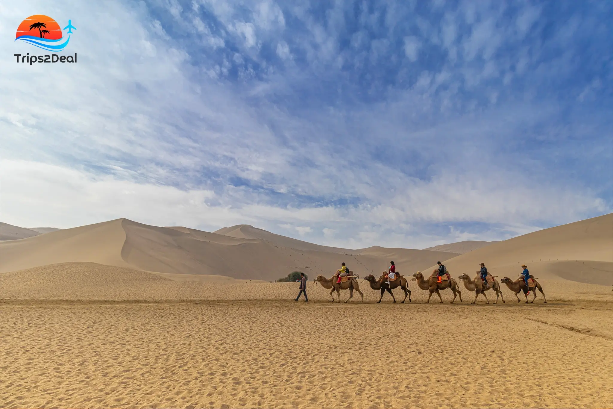 Tour to Bedouin Village, Camel Ride & Dinner From Sharm El Sheikh