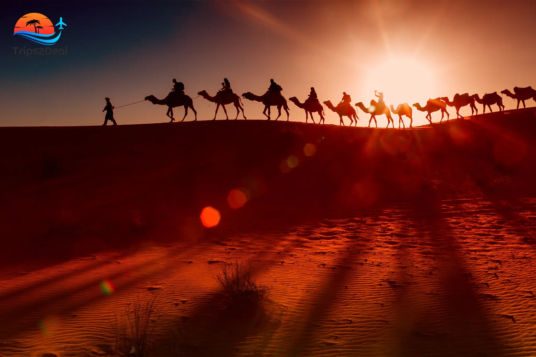 Tour to Bedouin Village, Camel Ride & Dinner From Sharm El Sheikh