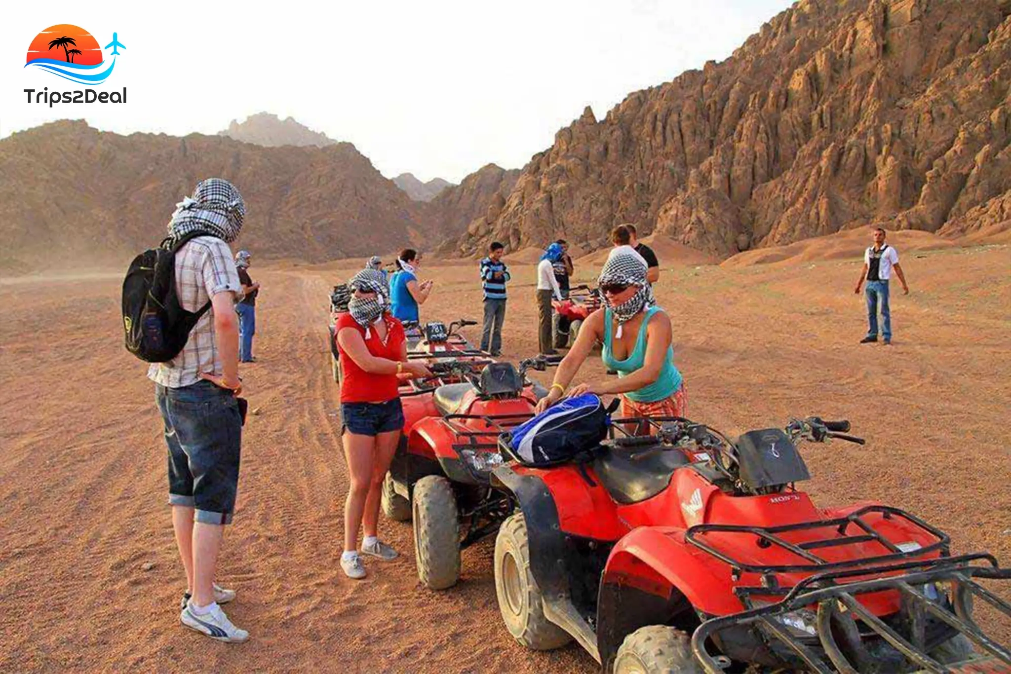 Tour to Bedouin Village and Buggy Desert Ride from Sharm el-Sheikh