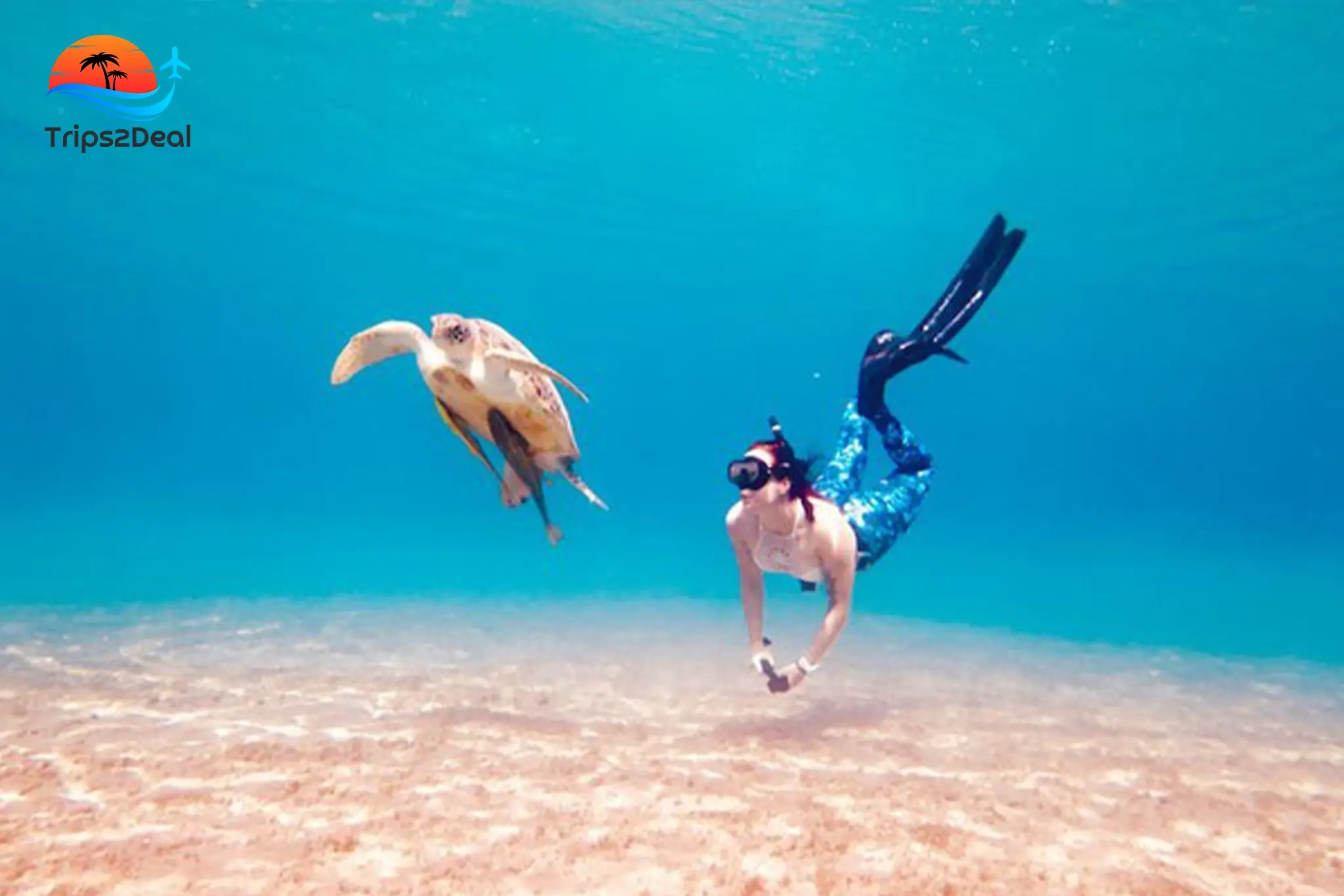 Hurghada: Tour in barca dell'Isola Paradiso con snorkeling e pranzo